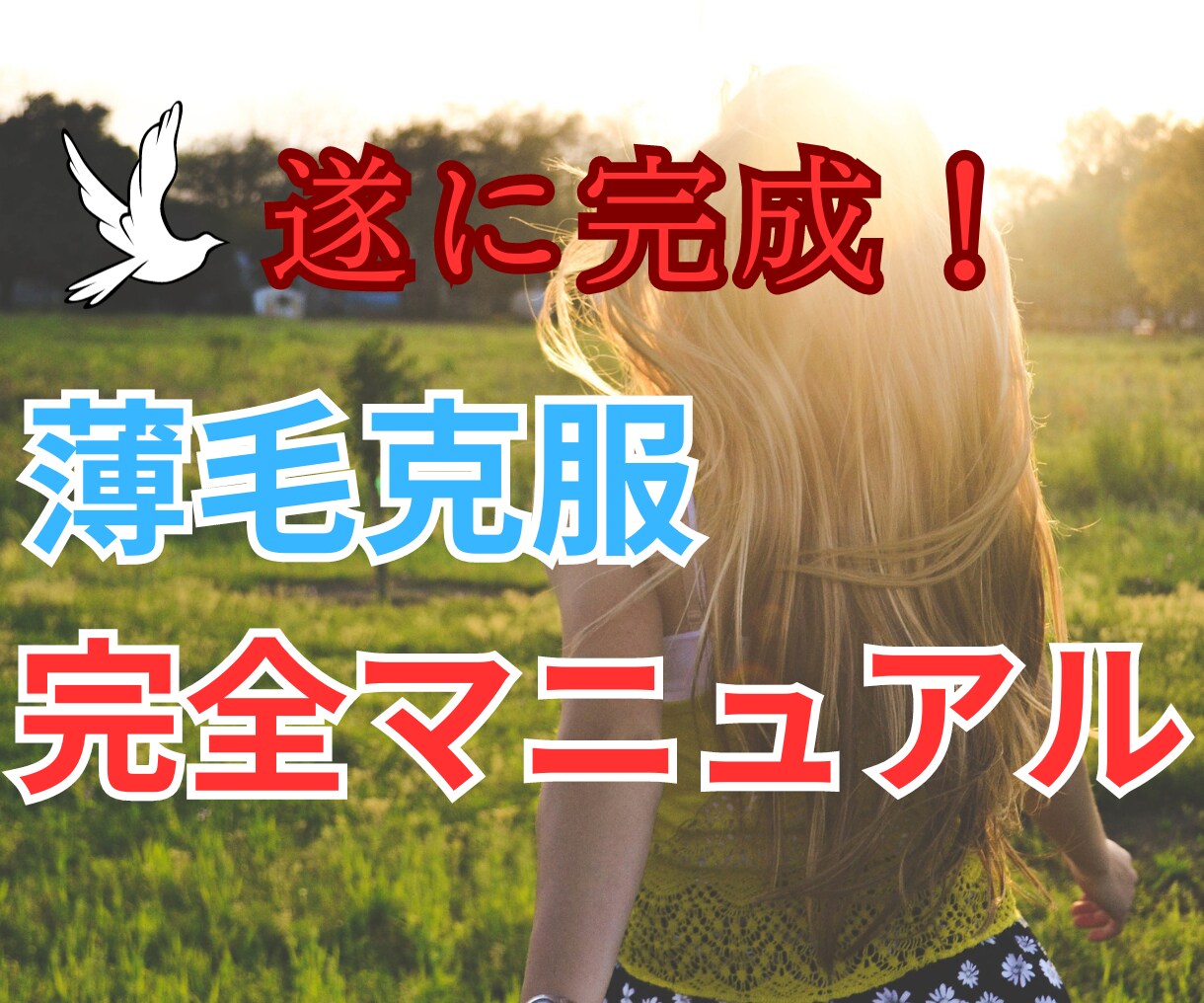 薄毛克服完全マニュアル　薄毛の治し方教えます 色々試した結果やっとコツを掴んできたのでお教えします！ イメージ1