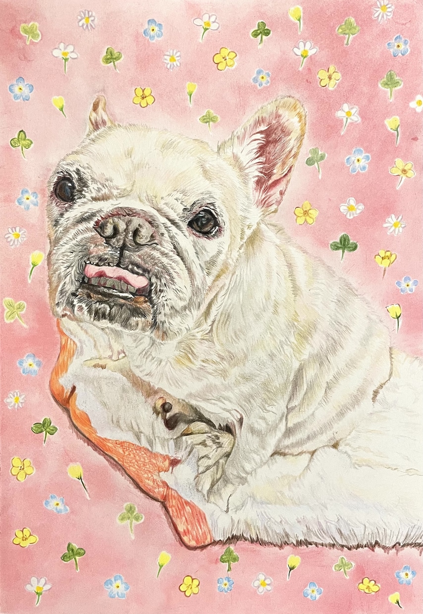 色鉛筆でペット絵お描きします 【現役20代デザイナー】がぬくもりを感じる1枚を描きます イメージ6