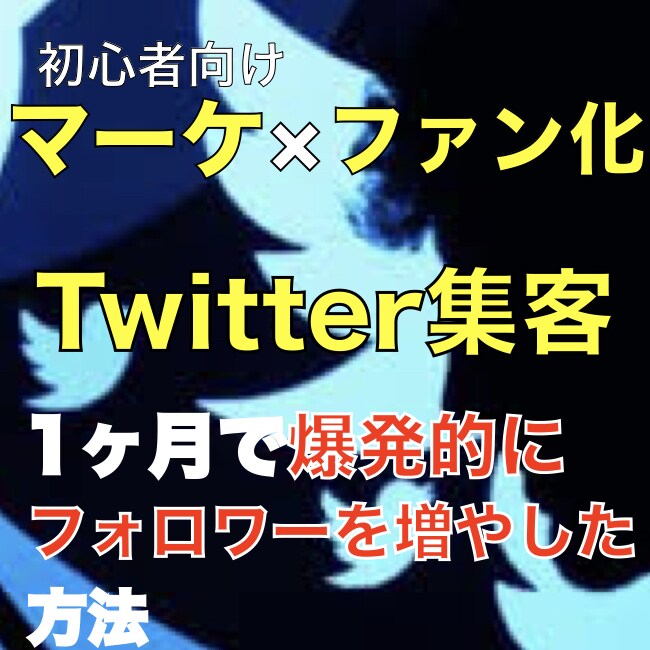 Twitter集客しファンを集める方法教えます 集客・売上UPしたくありませんか？ イメージ1