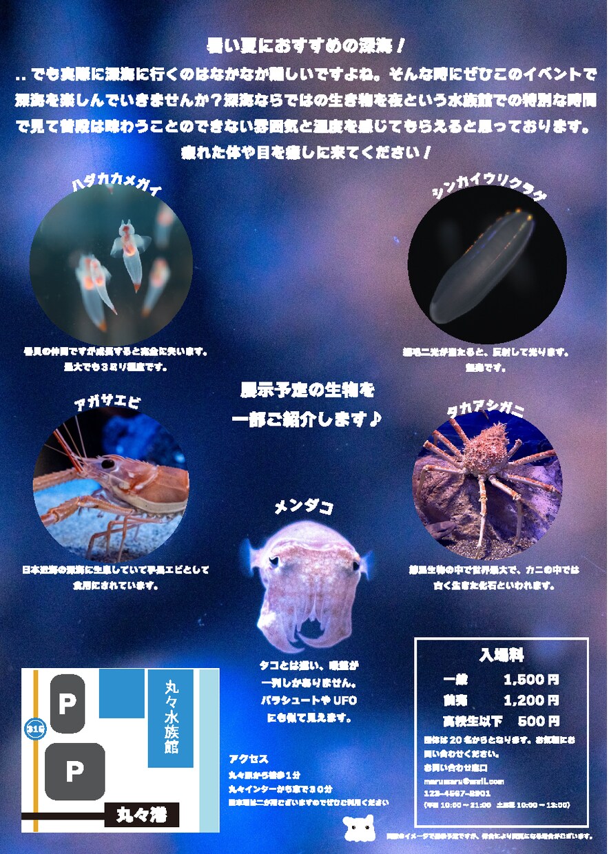 チラシ、ポスターを作成いたします かわいい、きれいなポスターが得意です！ イメージ5
