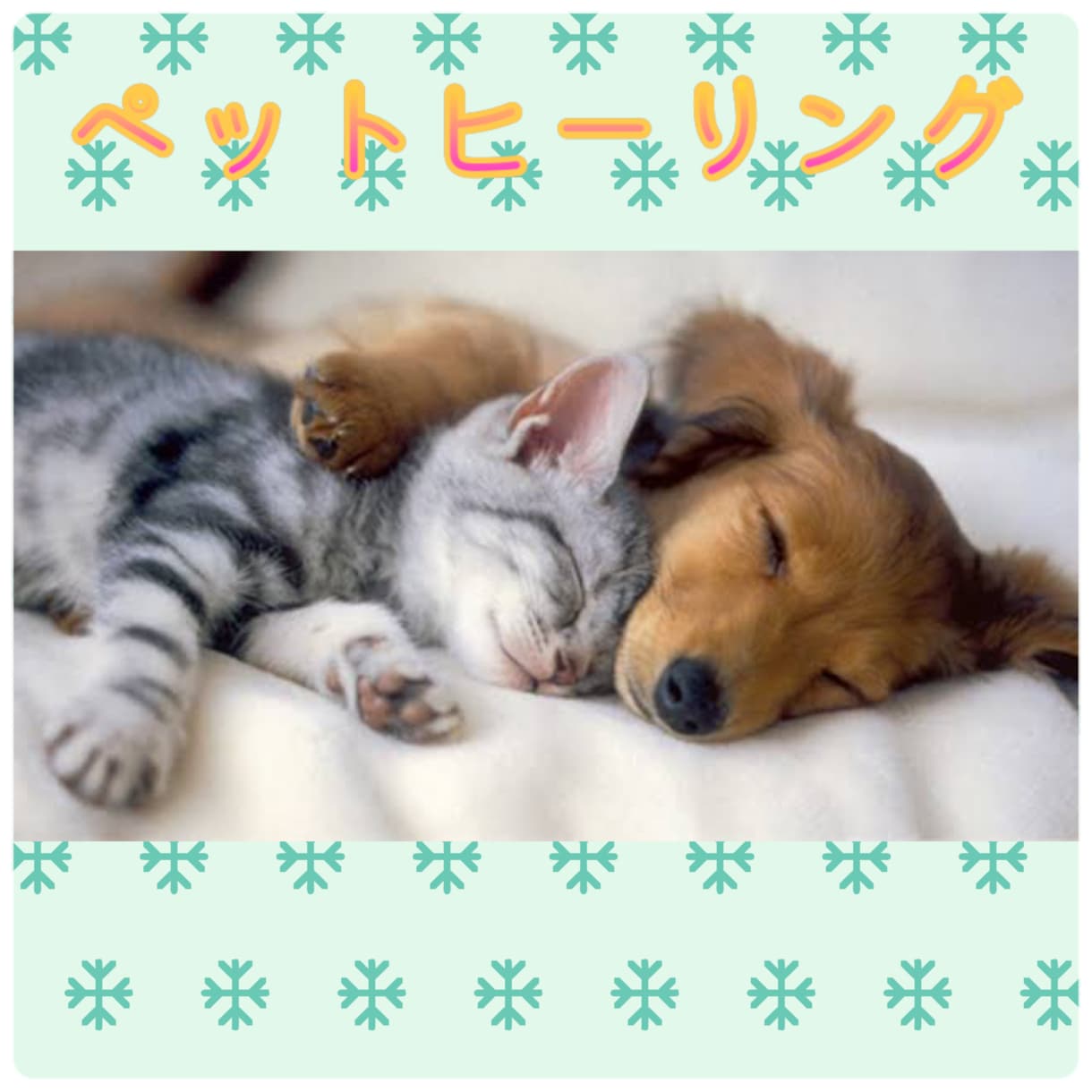 ペットと一緒に飼い主さんもヒーリングします ペットと一緒に自分自身も癒されませんか？ イメージ1