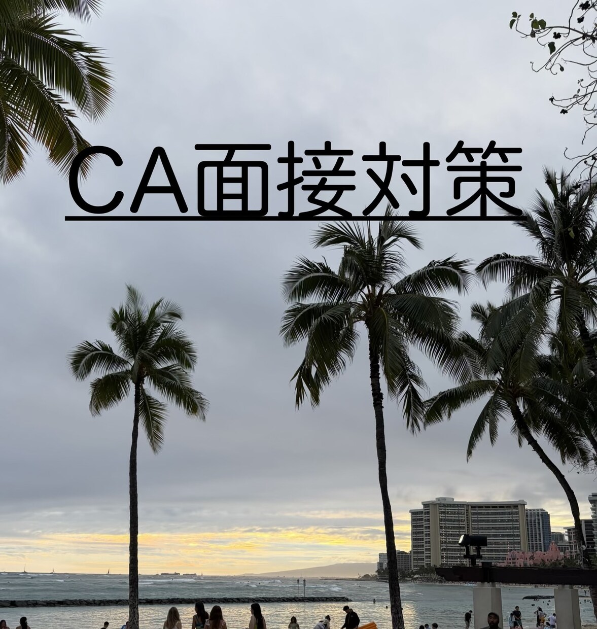 元JAL/ANA/大韓CAが面接対策サポートします 日系・外資どちらも経験済み、通過する面接対策を徹底サポート イメージ1