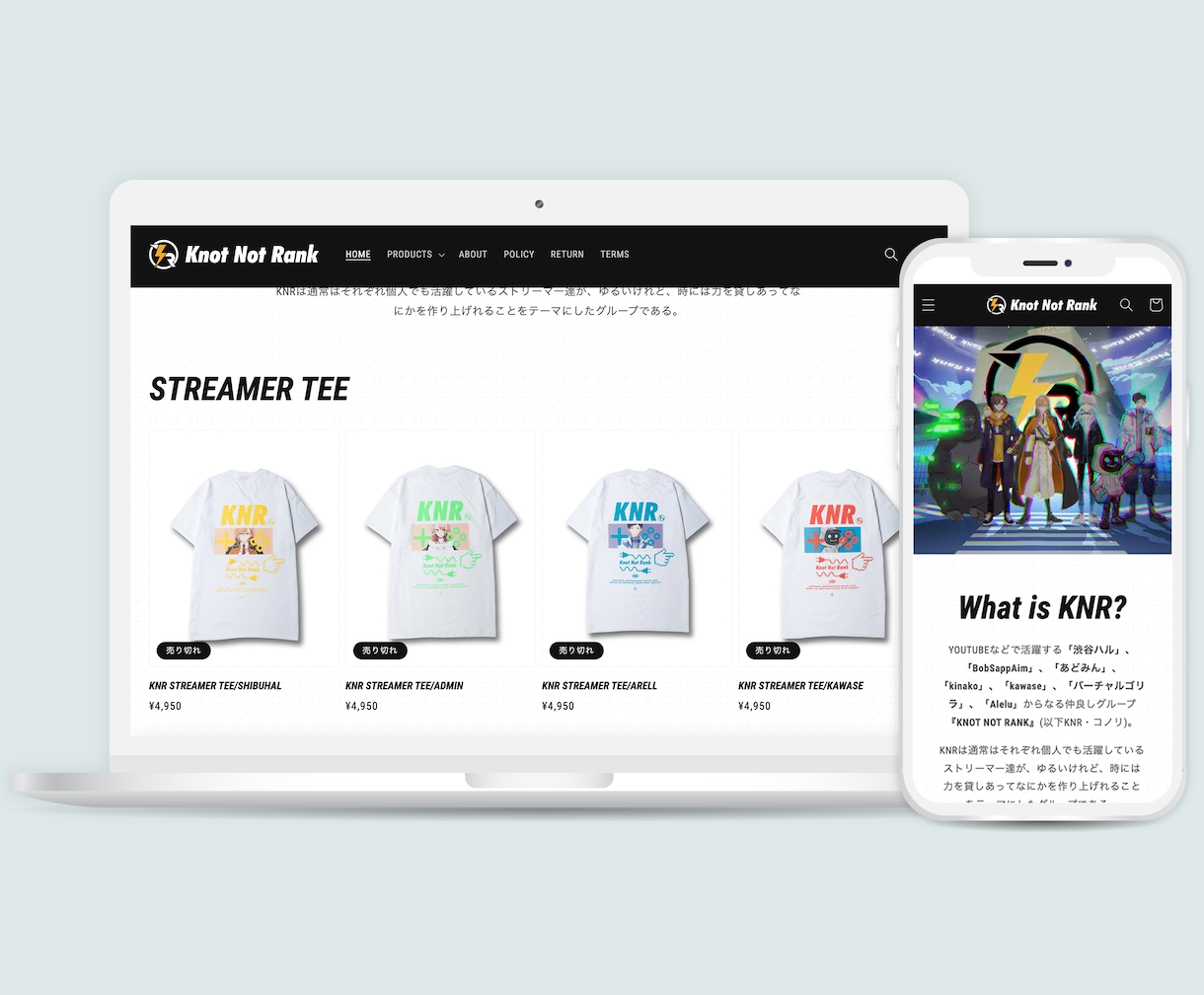 大手案件多数をこなしたプロがWEB制作をします 歴10年以上 高品質なWEBを制作したい方はお声がけください イメージ4