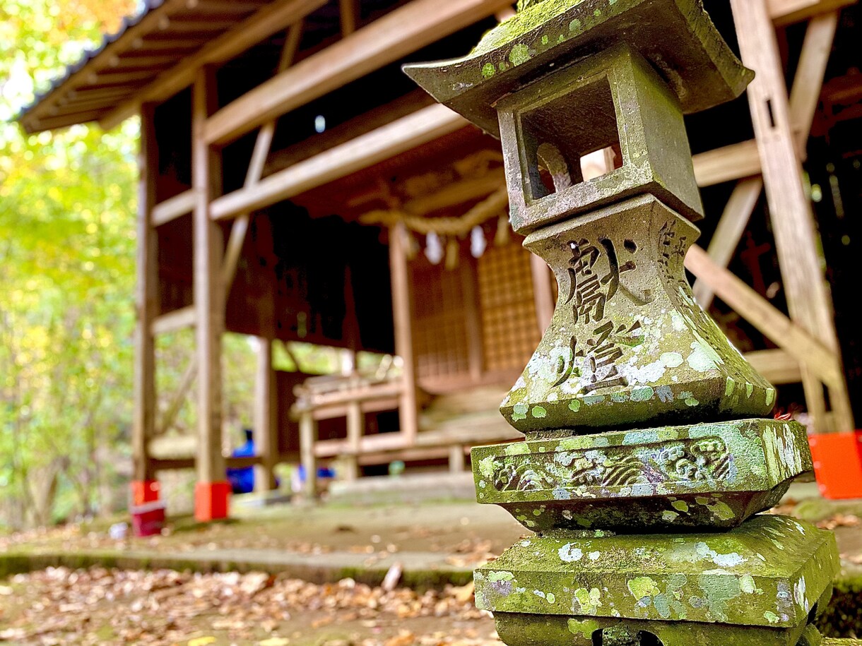 自然や動物、視界に入った何気ない風景等撮影してます 写真初心者ですが自分の力を確かめたい イメージ5