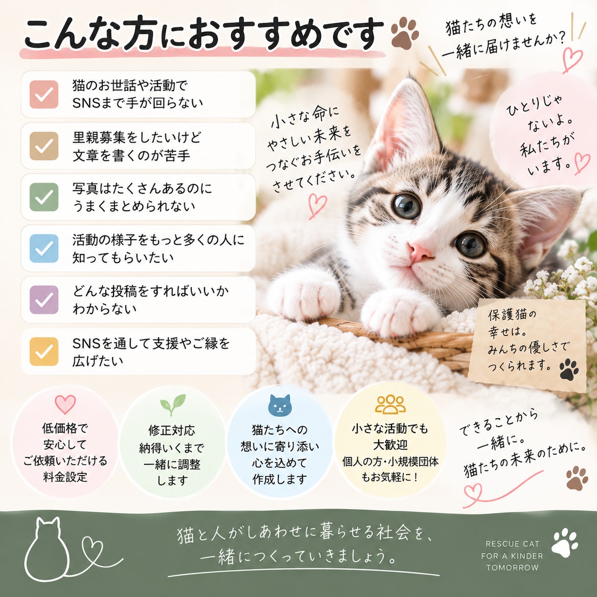保護猫活動のInstagram投稿を作成します 写真を送るだけ！想いが伝わる投稿をお作りします イメージ2