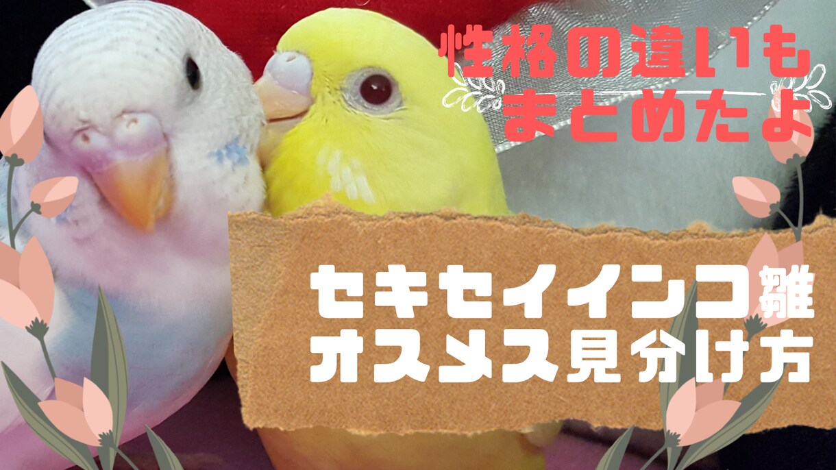 アイキャッチ５枚ご要望に合わせて作ります 低価格！You Tube、SNS！文字入れ、装飾お任せ下さい イメージ6