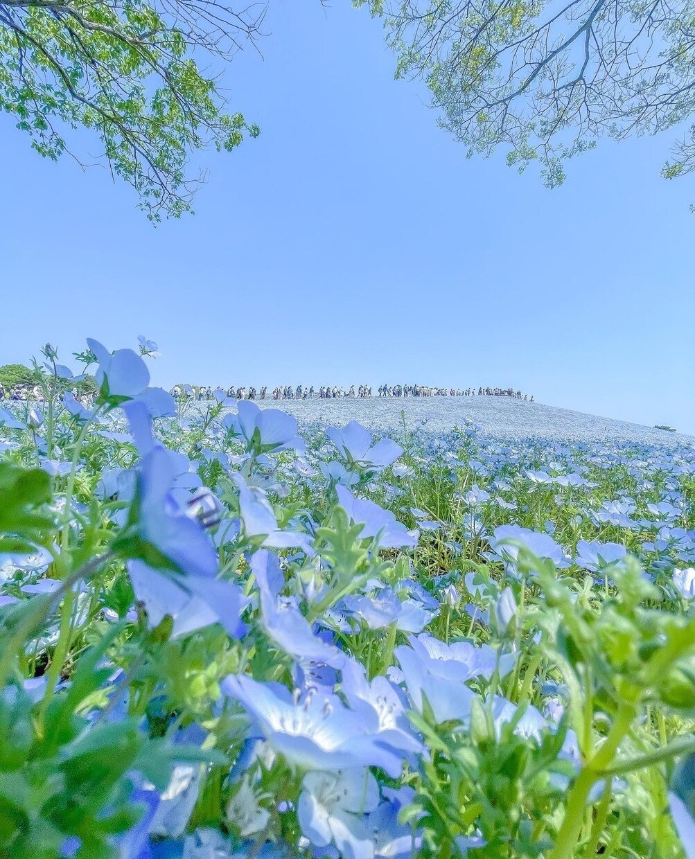 webサイト、ポスターに使える写真を提供します 東日本を中心に写真を撮っています。 イメージ3