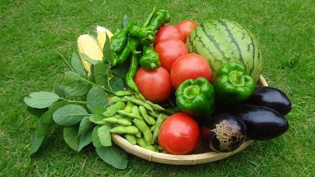 家庭菜園の栽培に関する悩みをお助けします 正しい管理で上手な野菜作り！！ イメージ1