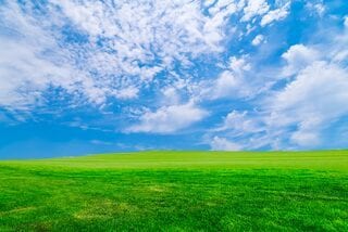 薬剤師が不安・愚痴・眠れない夜のお話聞きます 一人で抱え込まず、気軽にお話しませんか？どんな内容でも◎ イメージ8
