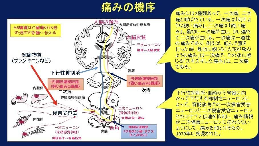 PowerPoint、ワード資料作成をします 看護学生必見！皆んなに伝わるプレゼン資料、作成をサポート イメージ2