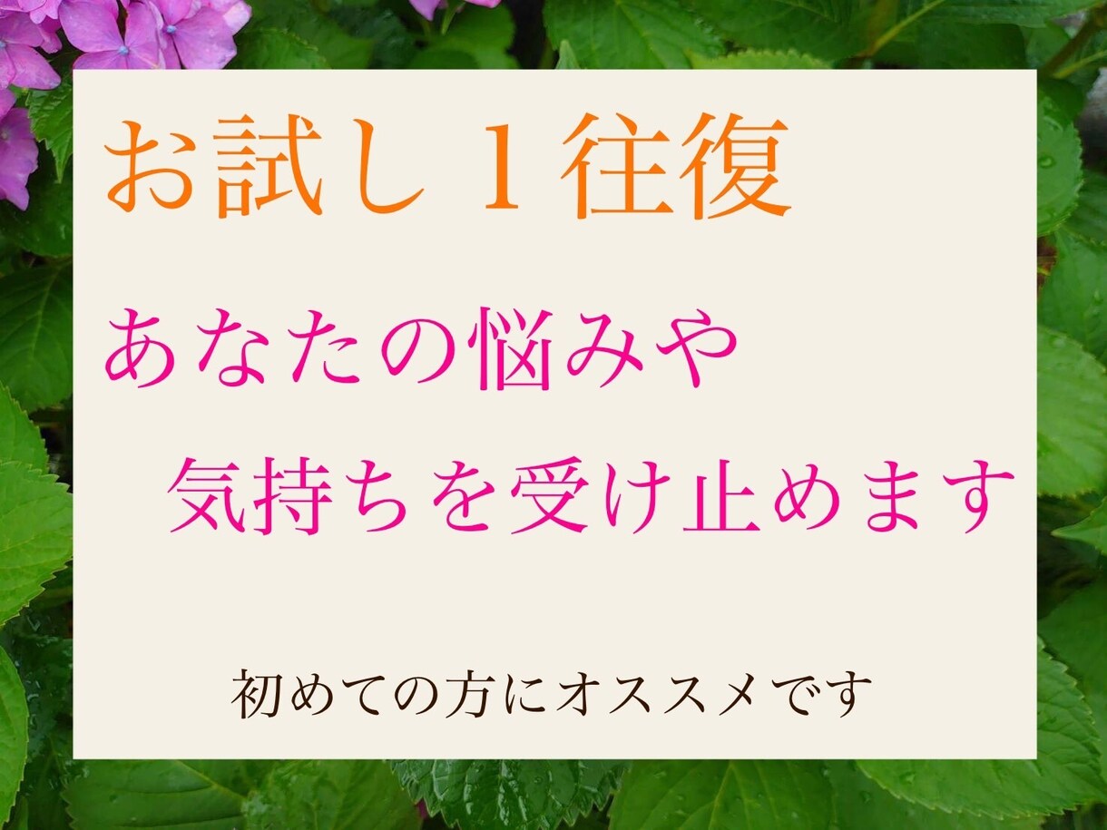 お試し１往復、あなたの悩みや気持ちを受け止めます 否定をせず、ありのまま、あなたの心に寄り添います イメージ1