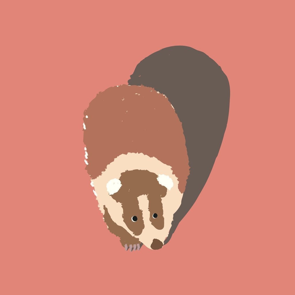 ゆるくてかわいいペット・生き物のイラスト描きます アイコン/ヘッダー/挿絵/プレゼント等に　犬猫から恐竜まで イメージ3