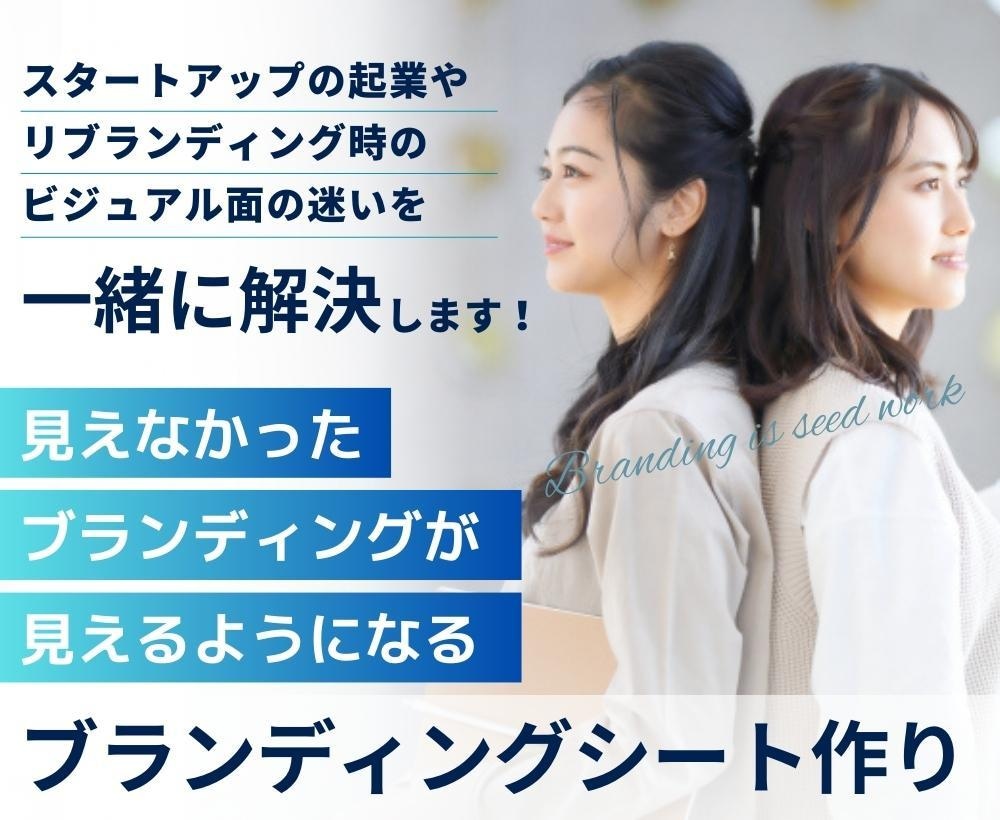 スタートアップのブランディング設計を作成します ブランディングが見えない！をスタイリングシートで解決します イメージ1
