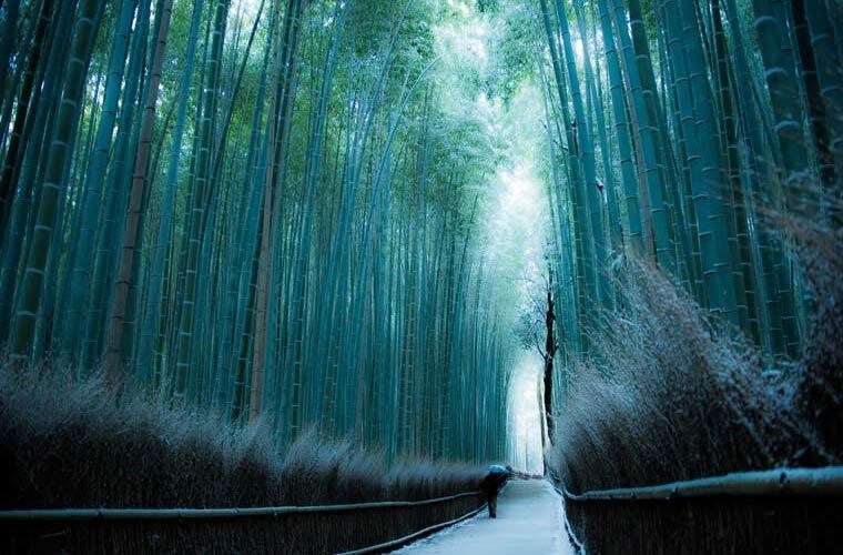 オネェの霊視であなたの進むべき道をお伝えします 2丁目で長年働いたオネェによる霊視！ イメージ4