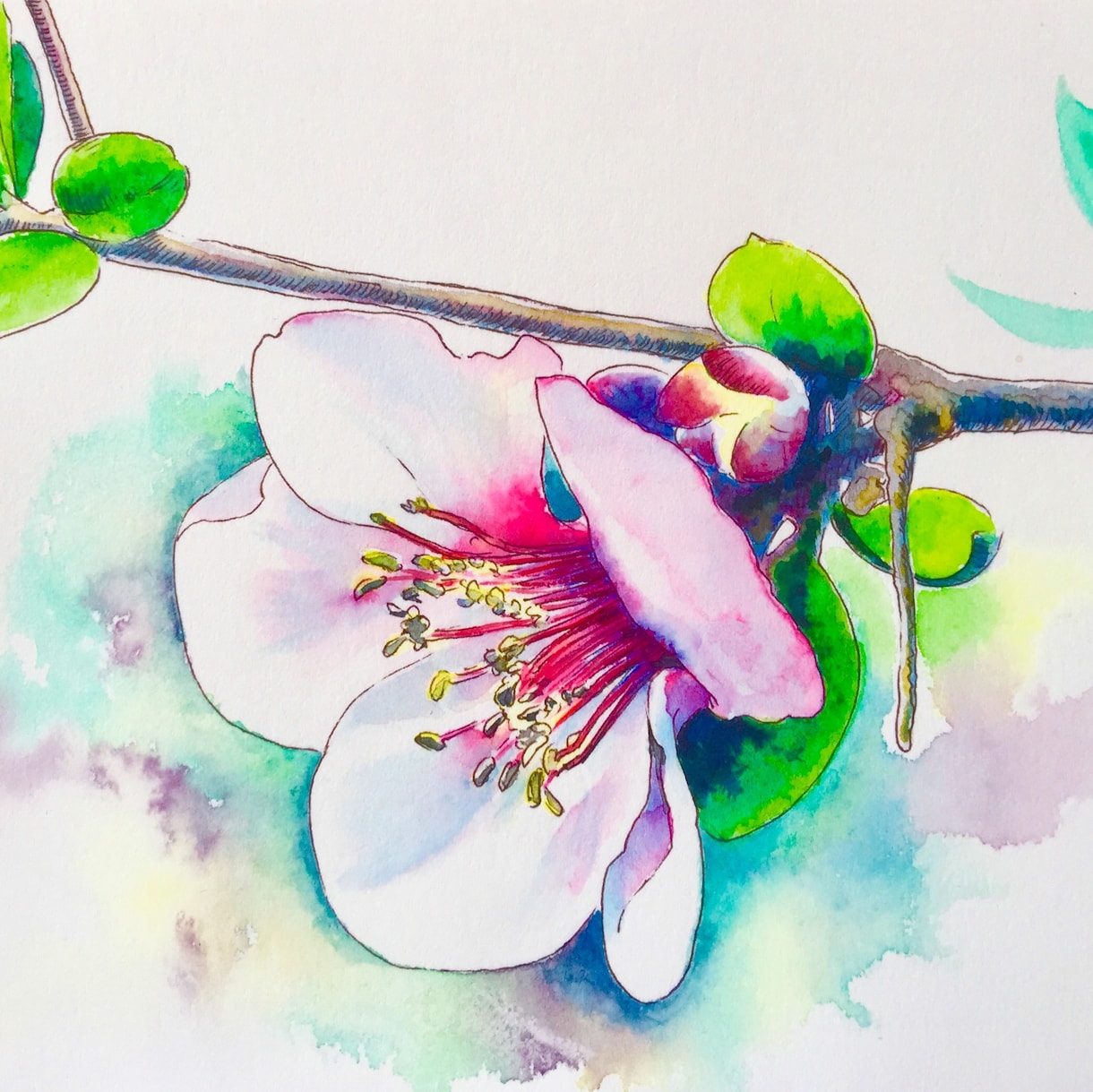 あなたの誕生日の花を描きます ラインやインスタグラムのアイコンにいかがですか？ イメージ1