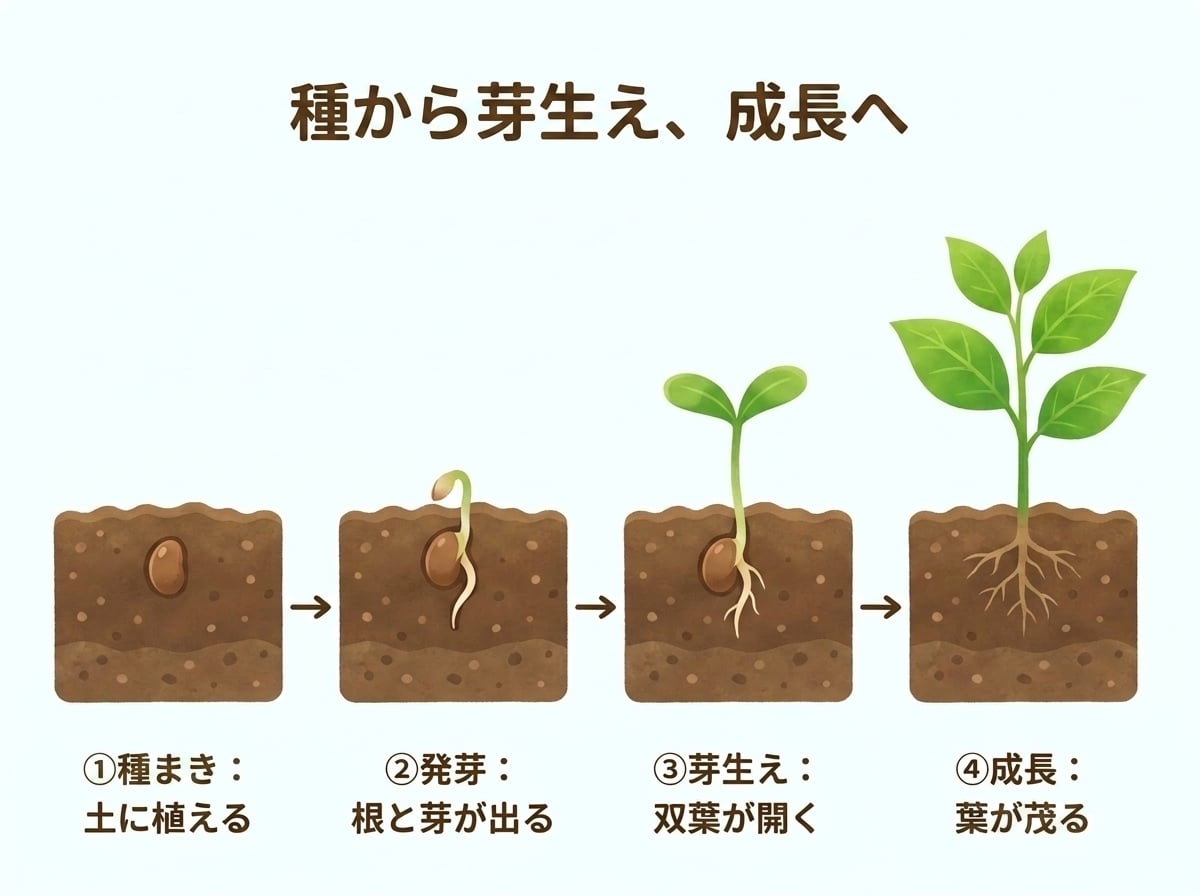 わかりやすいオリジナル図解を作成します 文章だけでは伝わりにくい内容を、見やすい図解にまとめます イメージ2