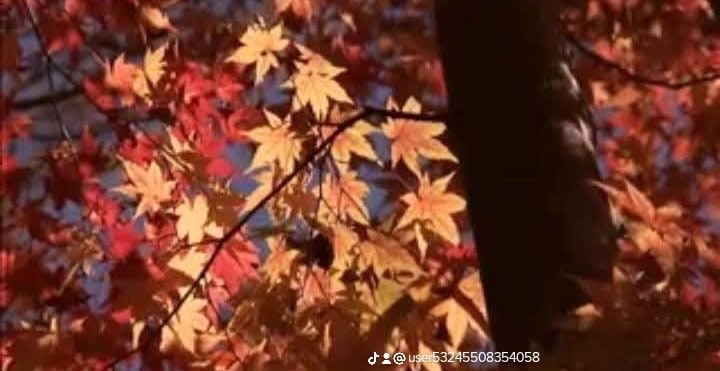 ツインレイ鑑定をします 相手の気持ちや今後の未来を視ていきます イメージ5