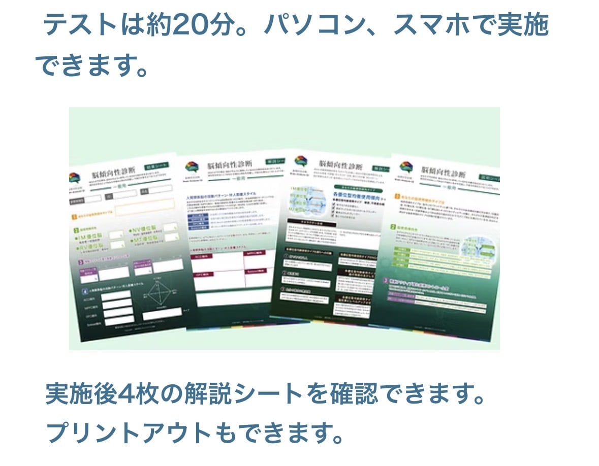 脳タイプ診断で仕事の悩みを整理します 思考のクセを知り、働き方を整える個別相談 イメージ4