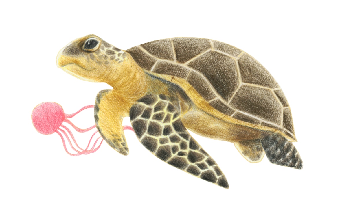 癒し系の動物のイラスト、キャラクター描きます パンフレット、印刷物のワンポイントに。商用利用可 イメージ9