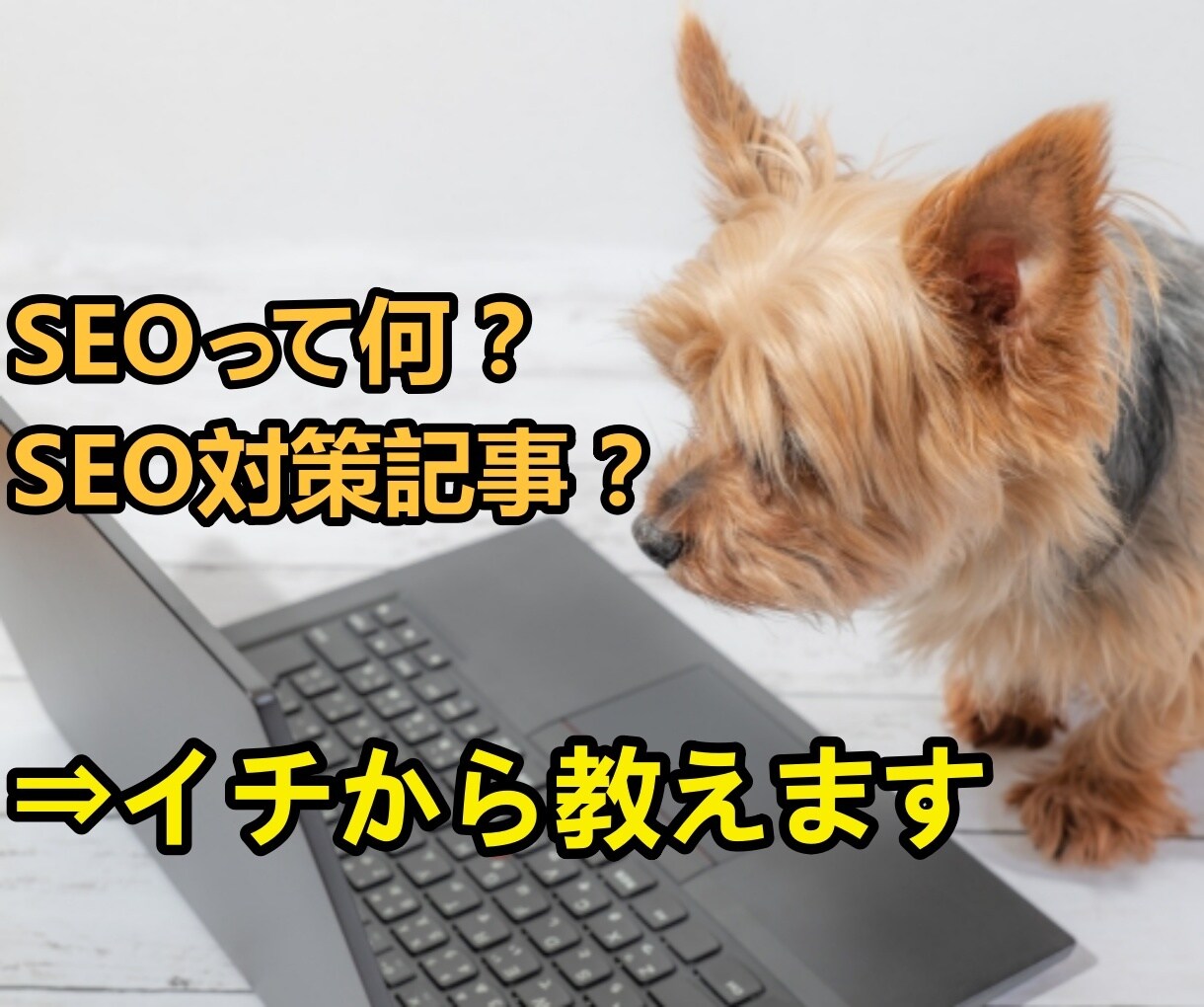 SEOやSEO対策記事って何？イチから教えます 初心者におすすめ！ブログ作成で知っておくべきSEO基礎知識 イメージ1
