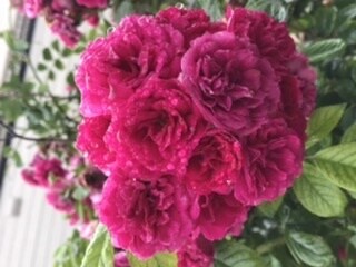 辛いお気持ちを軽く、楽にします 心に寄り添い、あなたが一歩踏み出せるカウンセリング イメージ3