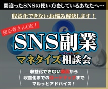 初心者さんOK!SNS副業で収益化する方法教えます 具体的なアドバイスであなたの副業を徹底サポートします! イメージ1