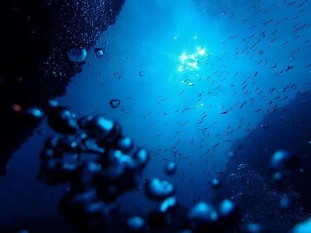 次の一歩の足掛け、お伝えします 自分と相手の本当の気持ち、少し覗いてみませんか？ イメージ1