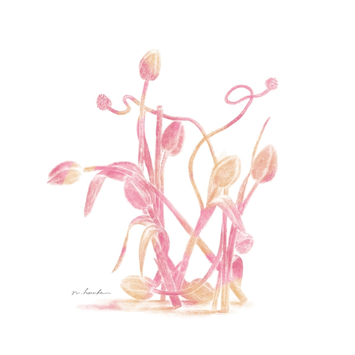 トレンド感ある植物イラスト描きます 印刷、WEBどちらにも利用可能です！ イメージ2