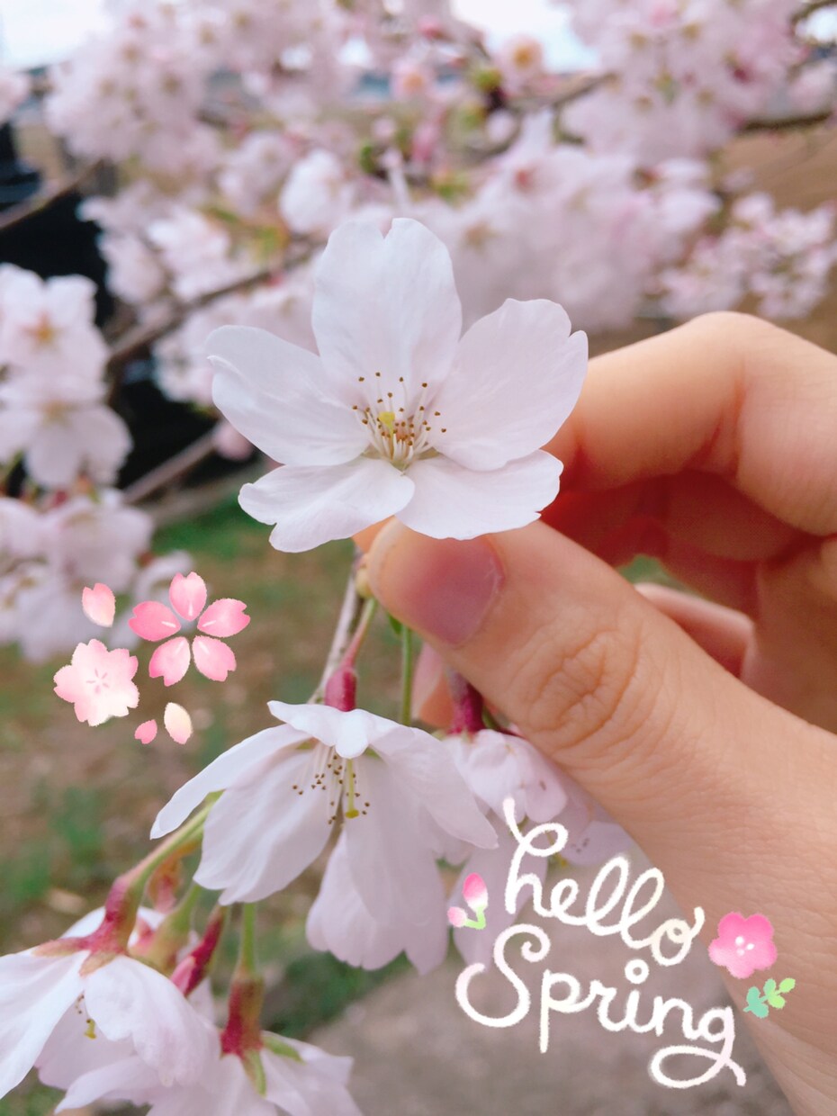 LINE感覚で♡恋愛相談なんでものります 友達みたいに、お姉ちゃんや妹みたいに、気軽に話しましょう♬︎ イメージ1