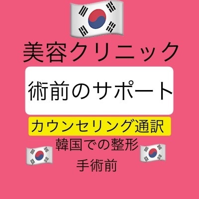 通訳専用）韓国クリニックカウンセリング通訳をします カウンセリング通訳 実務経験者 専門知識 正確性 責任感 イメージ1