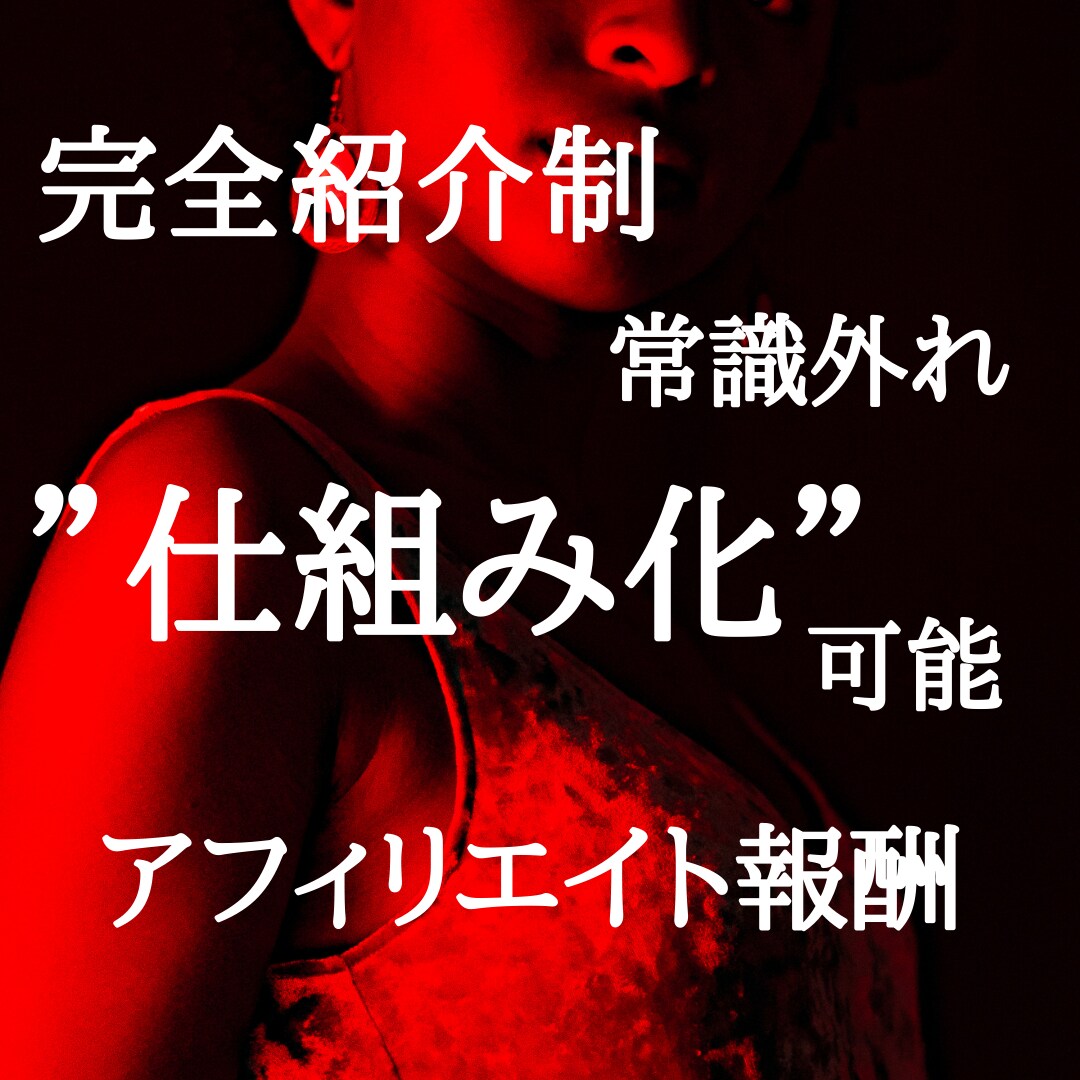 ここでしか知れないアフィリエイト案件紹介します 【仕組み化可能】【完全紹介制案件】【成果が出るまでサポート】 イメージ1