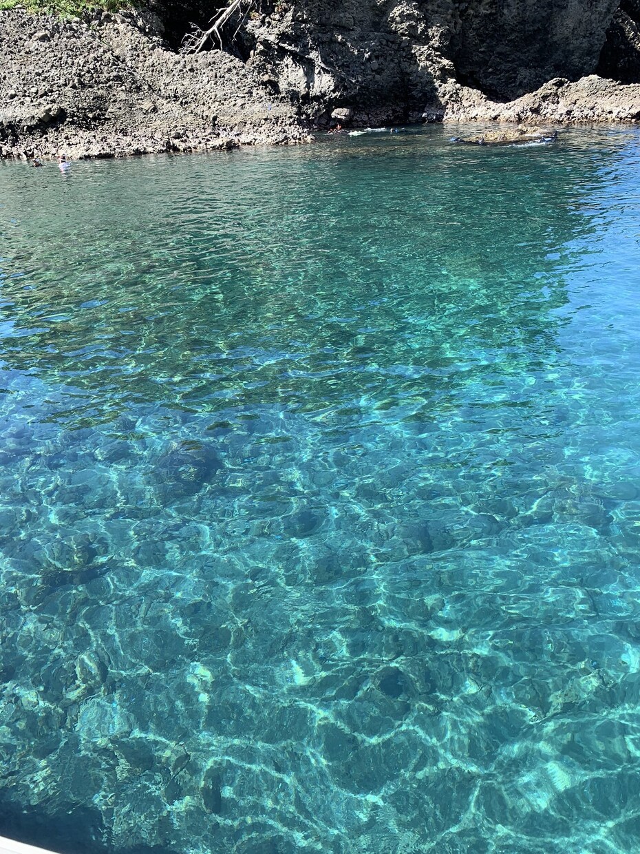 静岡県伊豆半島への旅行なら私がプランを提案します 東京から伊豆半島に通うこと20年以上、伊豆半島大好き人間です イメージ4