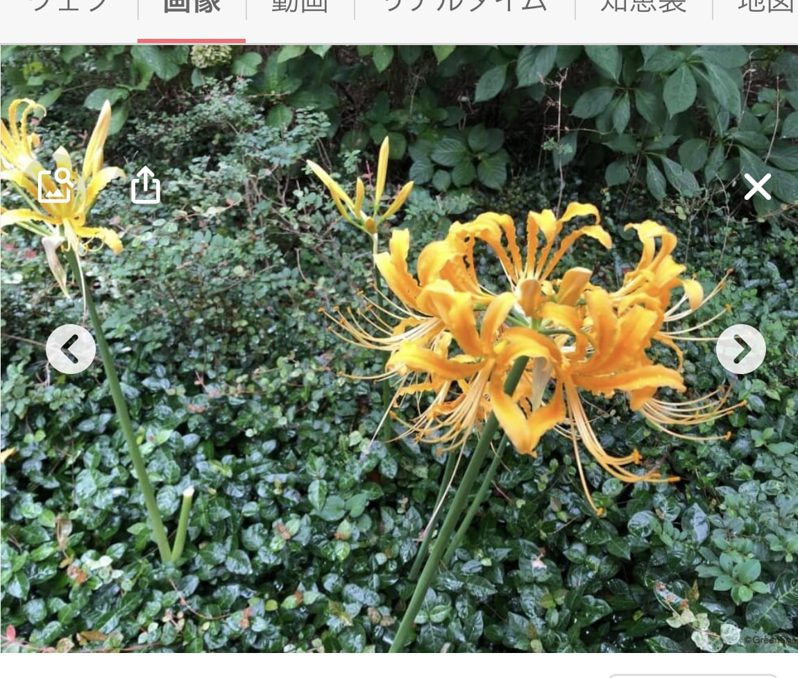 お話し相手になります 誰かに話したい時ありますよね。そんな時にご利用下さい イメージ1