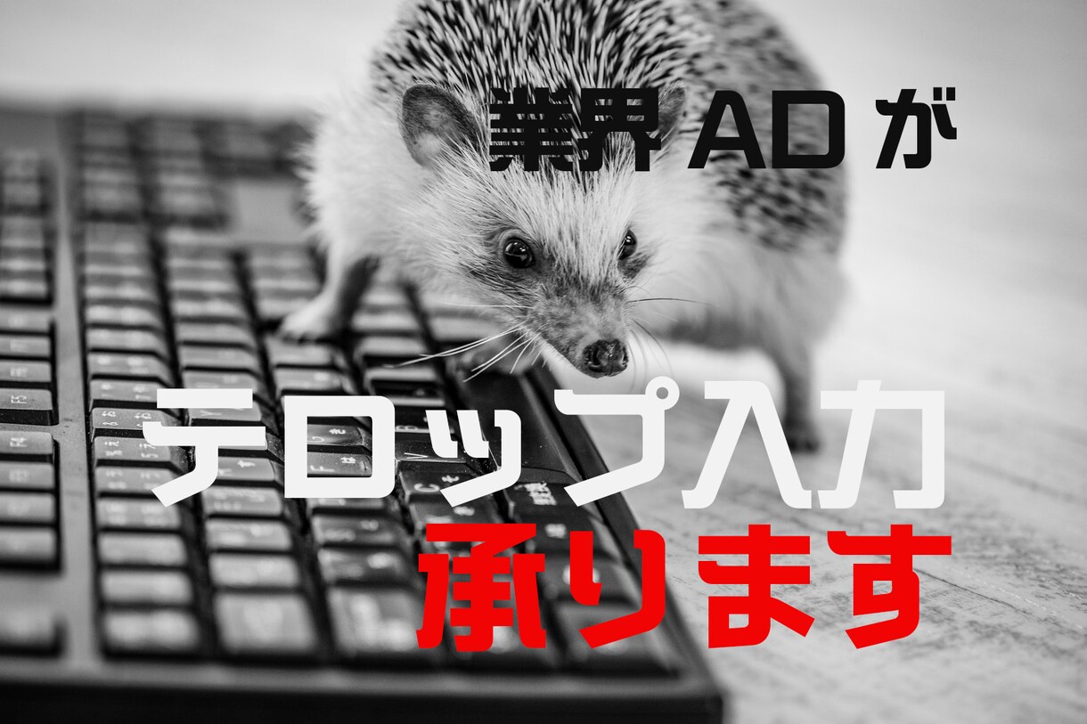 テレビ業界の端くれADが、テロップ入力頑張ります ココナラで初めて購入する方にぜひ！下っ端ADに気軽に依頼を イメージ1