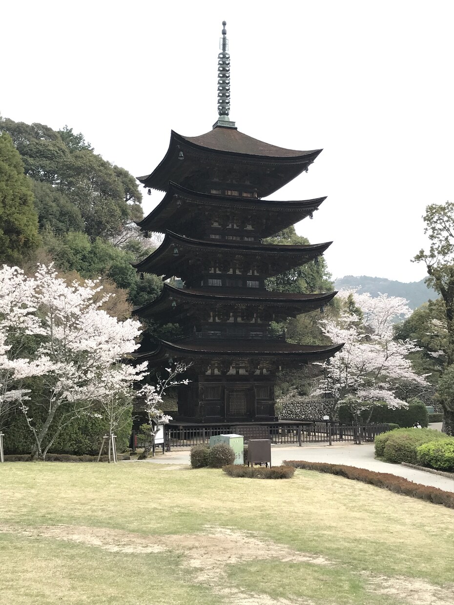 山口県とその周辺のスナップ写真を撮影します スマホで撮影した普通の写真が必要な方へ イメージ5