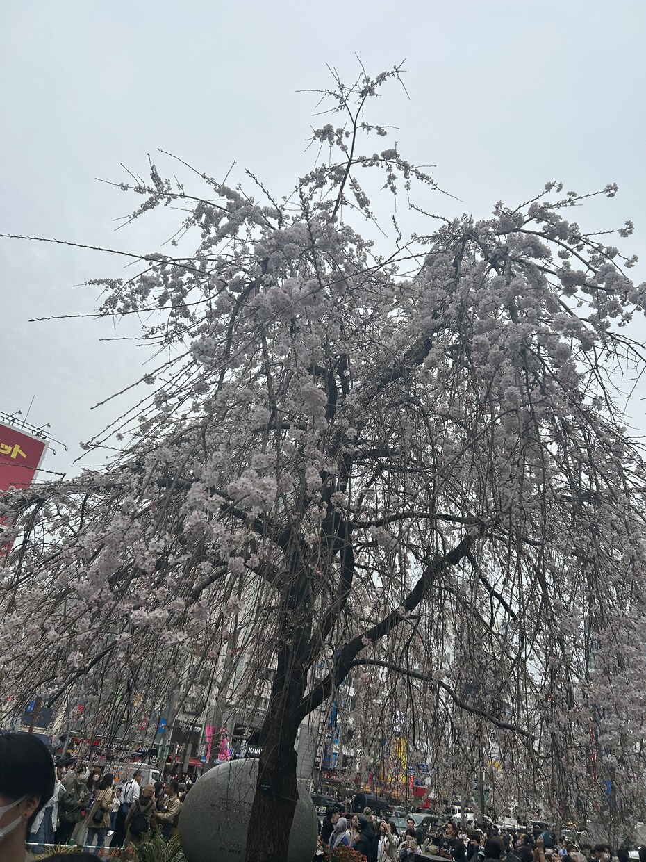 恋愛に関しての悩み事アドバイスします 〜悩める皆様の相談トークルームのメッセージにて承ります イメージ1