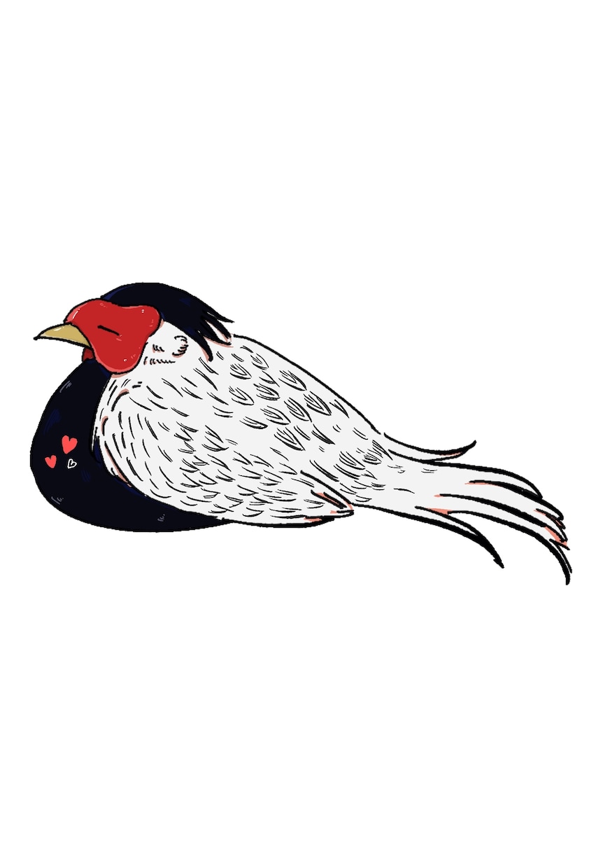 鳥好きさんのためのイラストを描きます ペットの鳥や推しの鳥がいる方向けのかわいいデフォルメイラスト イメージ2