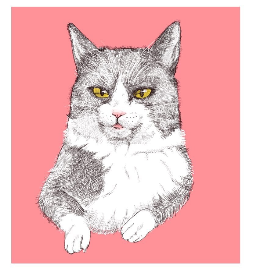 あなたの大切なペット描かせていただきます 繊細なタッチでフワフワ感を演出します イメージ1