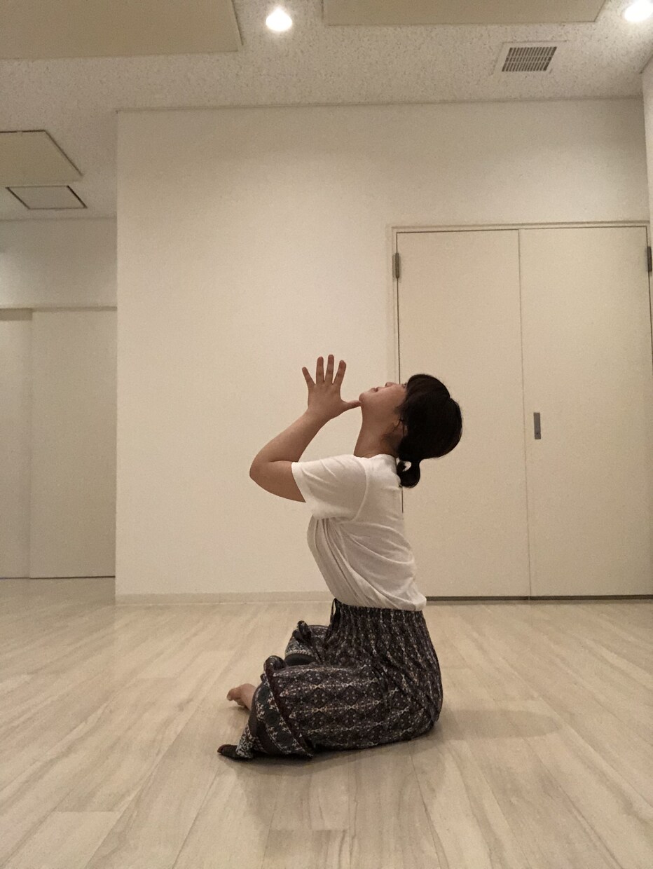 希望に合わせたメニュー作成しヨガレッスン提供します 初心者大歓迎！運動不足解消にも！お家で理想の体づくり！ イメージ2