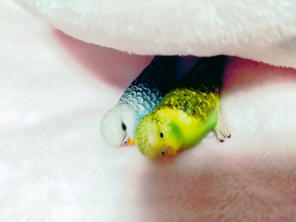 相棒のぬいぐるみと出会った理由を占います ワンコインで大切な相棒(ぬいぐるみ、ドール)のこと占います。 イメージ1