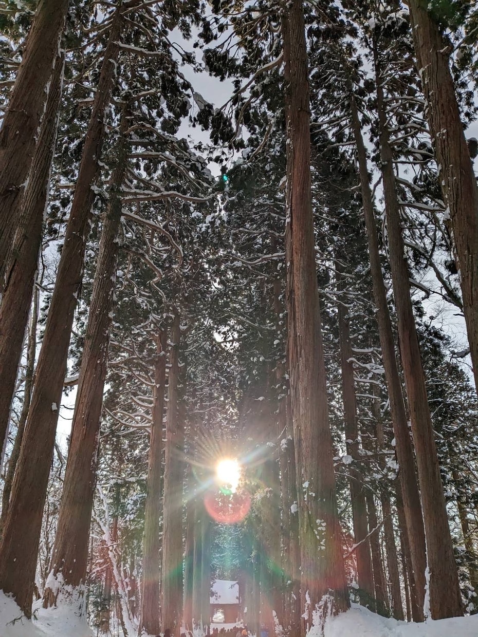 スピリチュアル潜在意識で人生全般のお悩み解決します 大手電話占い会社でリピート率上位の売れっ子占い師です イメージ2