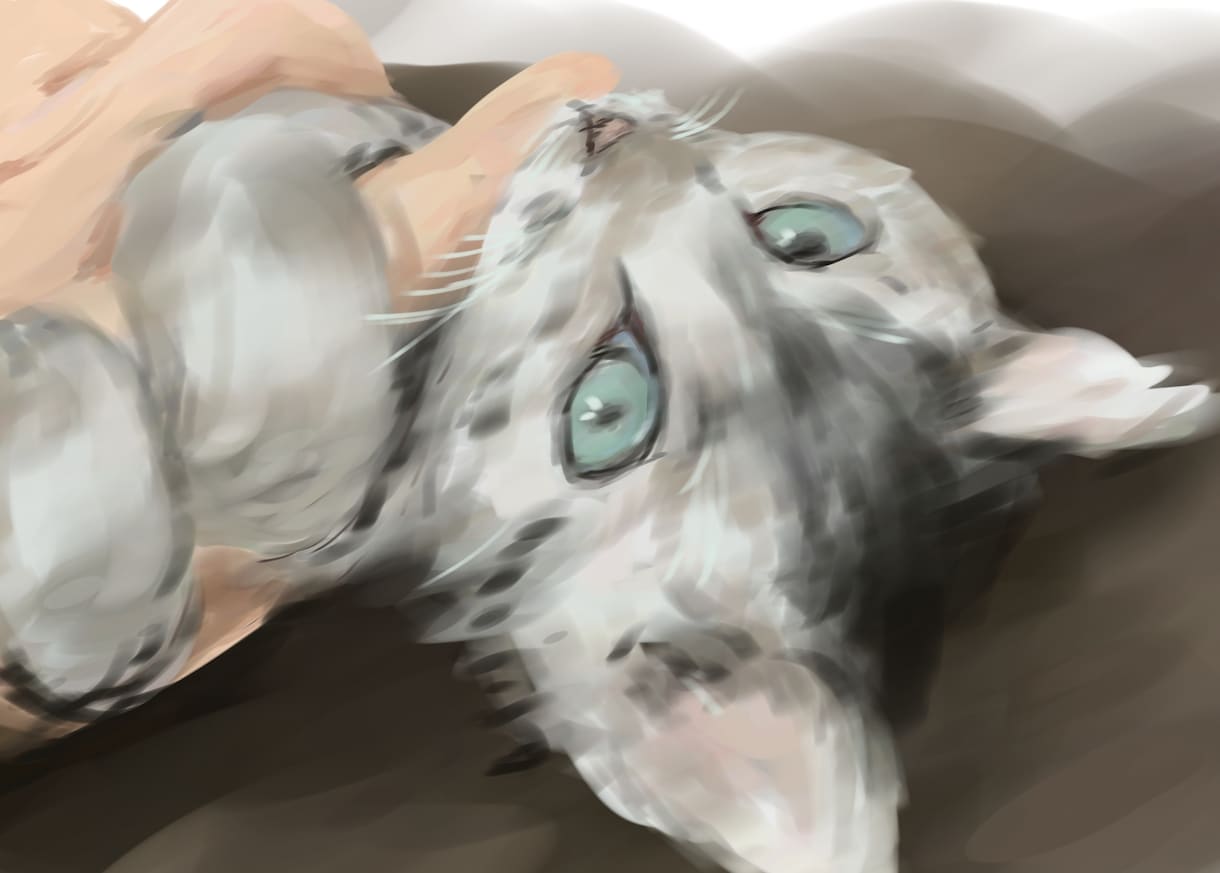 猫ちゃんかきます かわいい猫ちゃんを絵にしませんか イメージ3