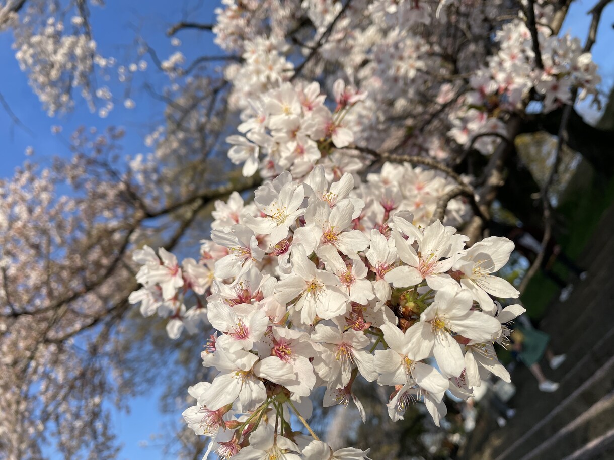 日々のストレス、悩み何でもお聞きします 貴方の心のよりどころになれたら嬉しいです イメージ1
