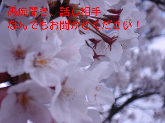 なんでもお話聞きます 日頃のたまった鬱憤などはき出しませんか？ イメージ1