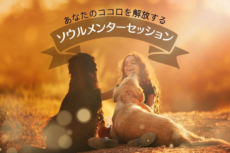 よりあなたらしく生きるためにを応援します ライフメンターセッションサポートハイヤーセルフコネクト®️ イメージ1