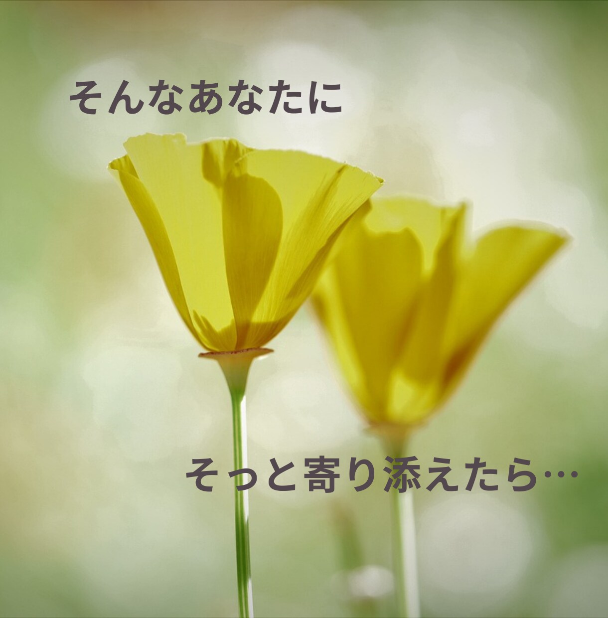 心がほっとできる時間にします 1分でも5分でも♪癒やしのひととき꙳✧˖° イメージ5