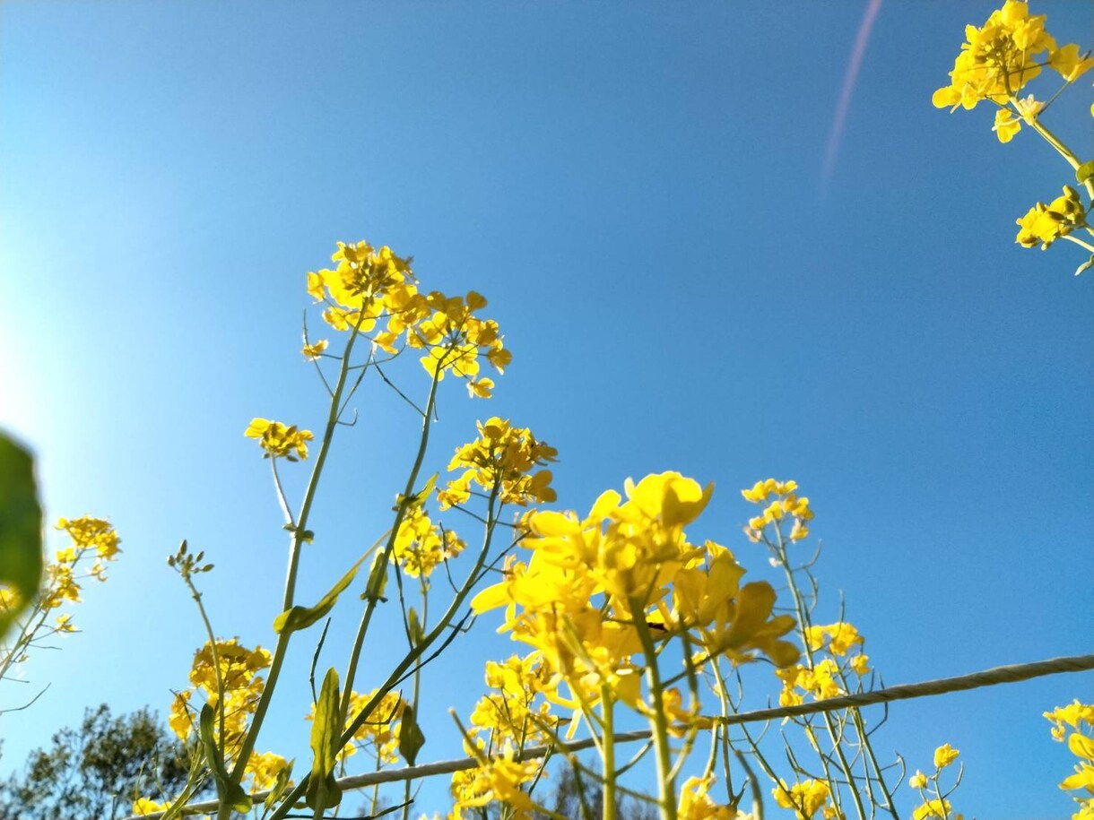 心をほぐし、かるくします 誰にも言えない気持ち、ここで休ませて。 イメージ1