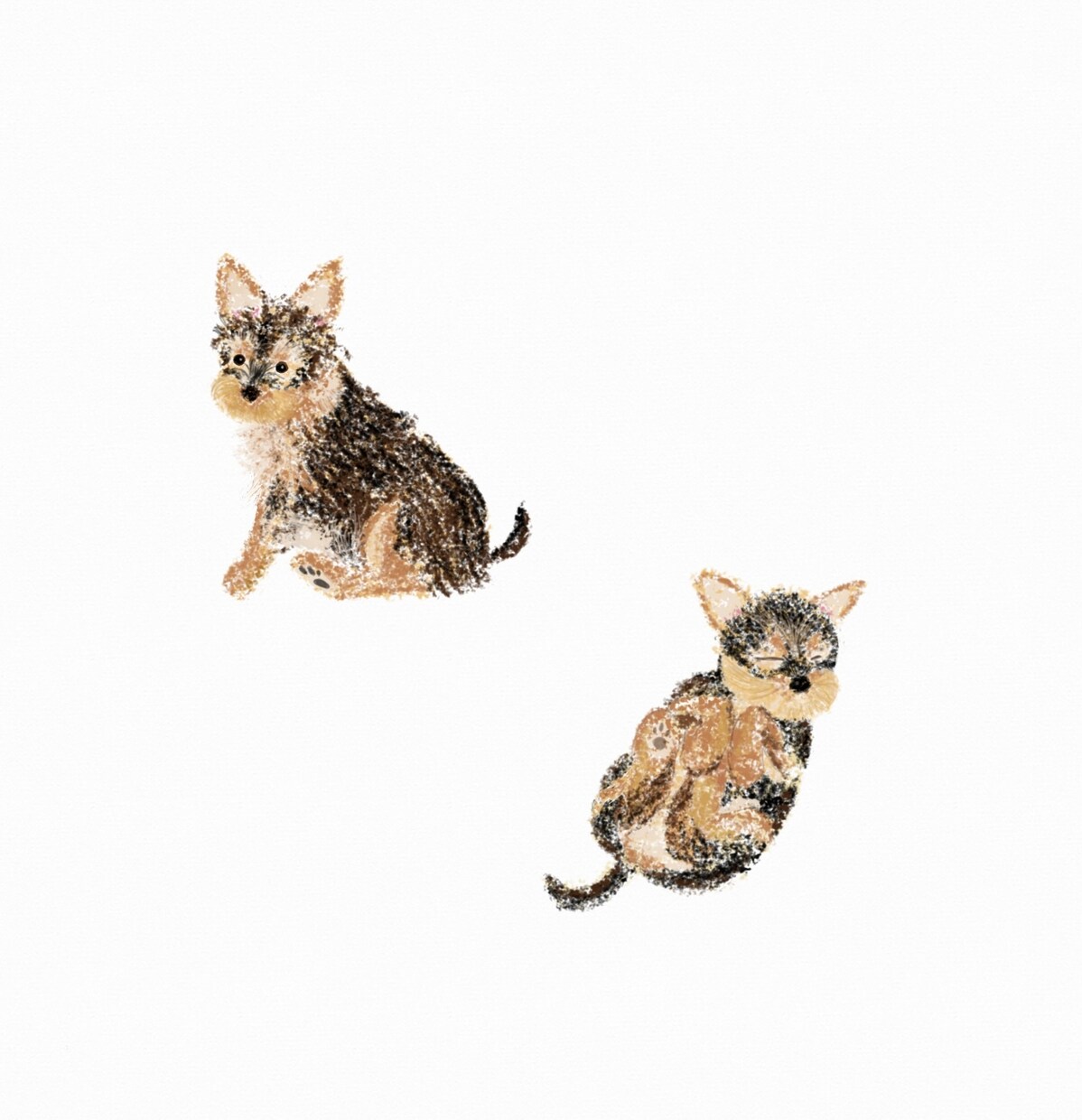 ペットのイラストを描きます あなたのお家の小さな家族（ペット）の絵を描かせてください！ イメージ6