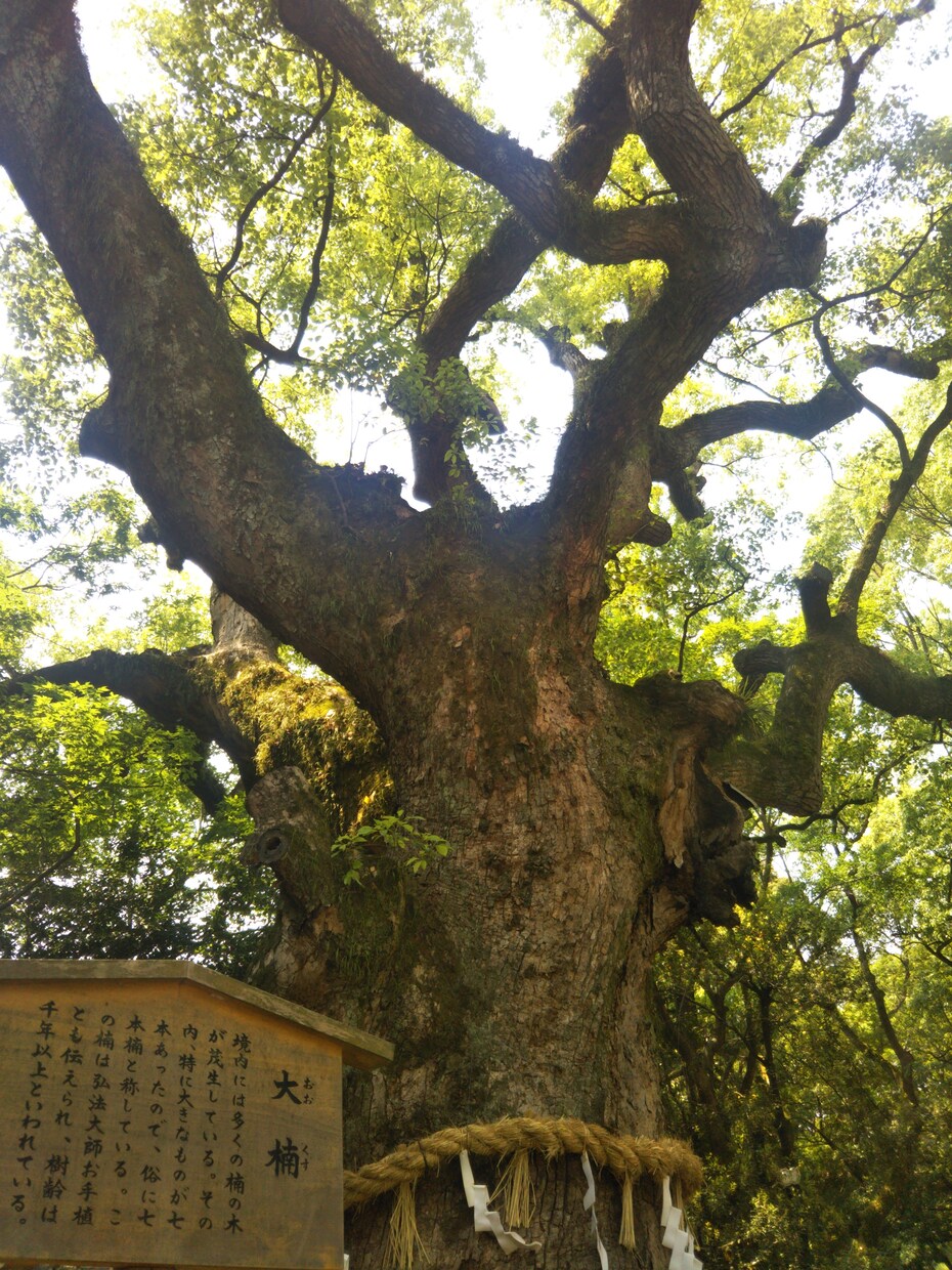 神社のお参りのアドバイスをします 神社へのお参りを始めたい、何から初めたら良いのか知りたい方に イメージ1