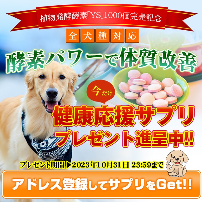 キャッチコピー＋WEB画像をセットで作成します 制作枚数800枚突破！現役のWEBデザイナーが迅速作成！ イメージ3